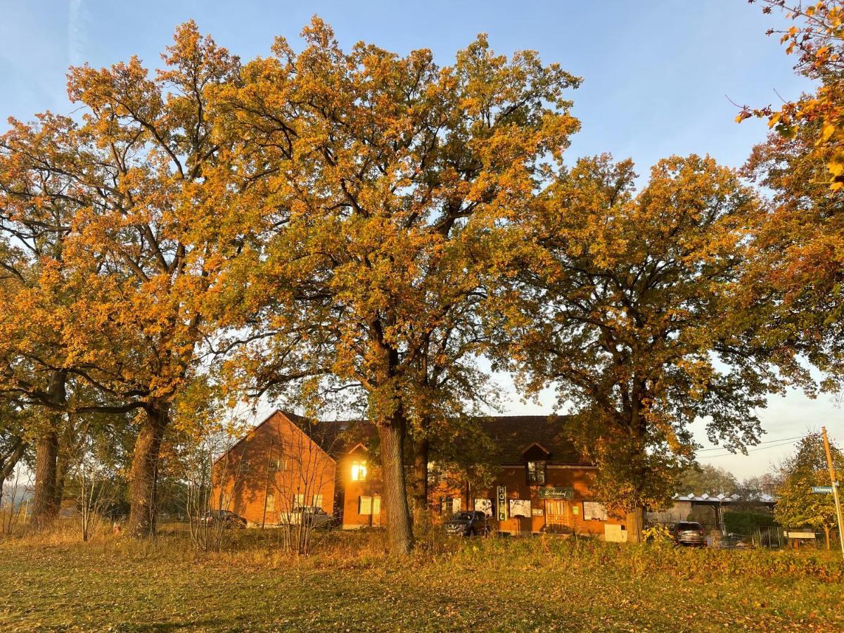 Eichenhof Hotel Garni Groß Köris Esterno foto