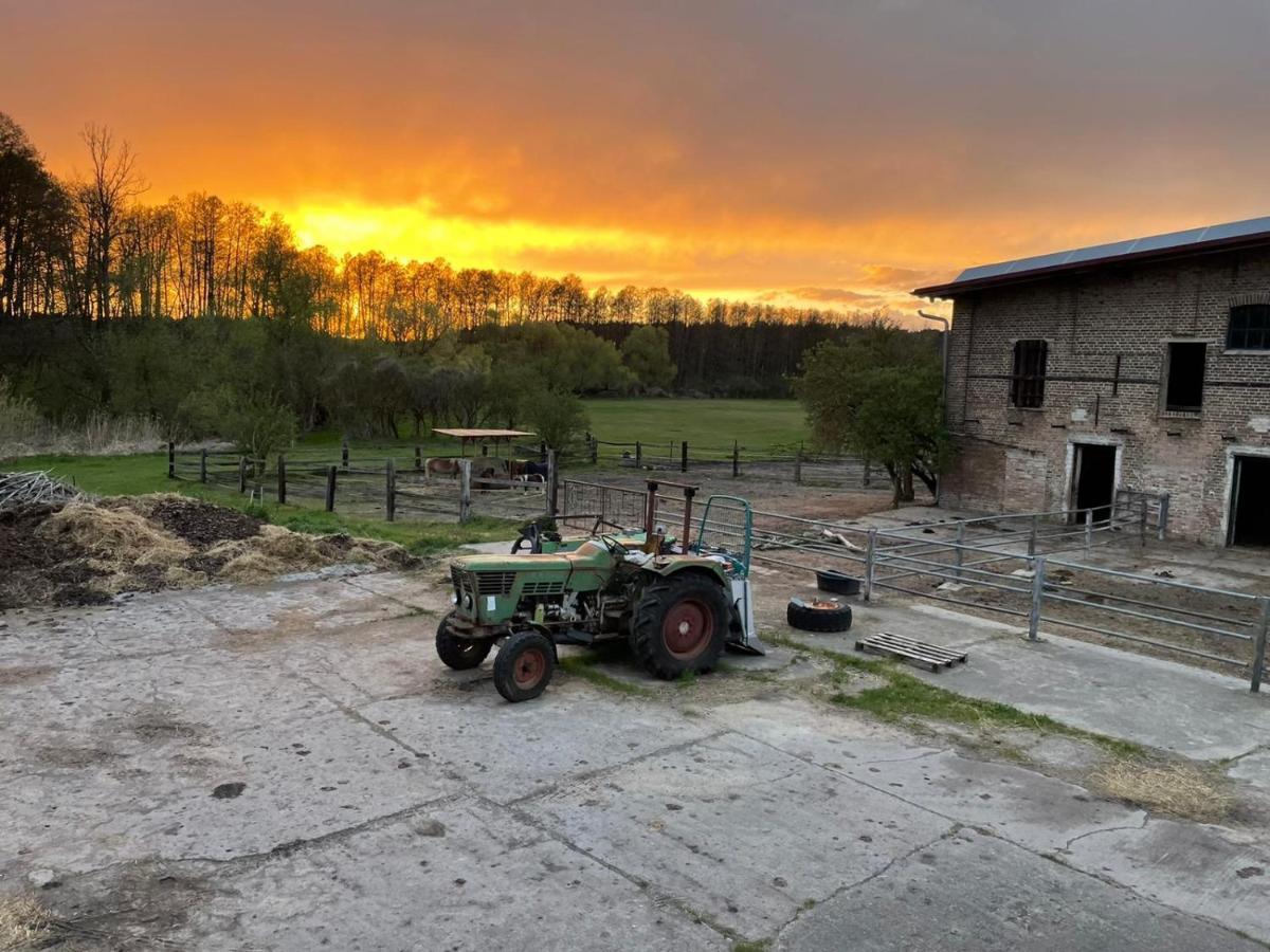 Eichenhof Hotel Garni Groß Köris Esterno foto